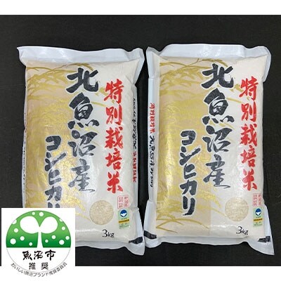 特別栽培米 魚沼産コシヒカリ 3kg×2袋