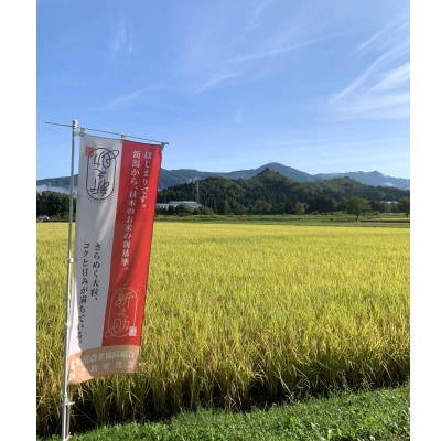令和6年産　　≪雪室貯蔵≫北魚沼コシヒカリ精米3kg+新之助精米3kg食べ比べ　計6kg