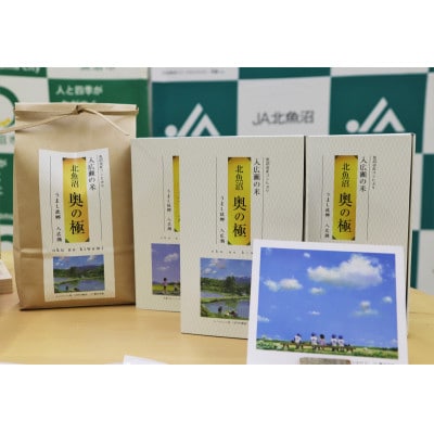 令和6年産　魚沼 「奥の極」 入広瀬の米 (うまし故郷 入広瀬)精米 計2.9kg