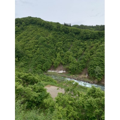 令和6年産　魚沼 「奥の極」 入広瀬の米 (うまし故郷 入広瀬)精米 計2.9kg