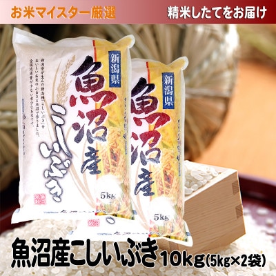 【2024年2月上旬発送】5年産お米マイスター厳選魚沼産こしいぶき100%精米10k(5kg×2)