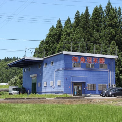 【2024年2月上旬発送】5年産お米マイスター厳選魚沼産こしいぶき100%精米10k(5kg×2)