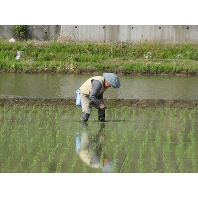 【毎月定期便】無洗米お米マイスター厳選魚沼産コシヒカリ100%9kg全3回