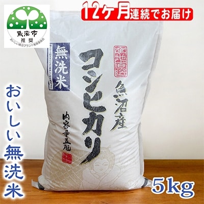 【毎月定期便】無洗米お米マイスター厳選魚沼産コシヒカリ5kg全12回