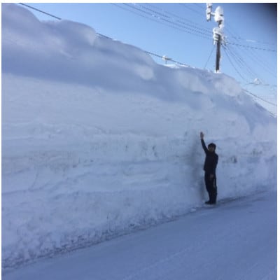 【毎月定期便】おいしい無洗米　雪室貯蔵お米マイスター厳選　魚沼産コシヒカリ100%　2.5kg全6回