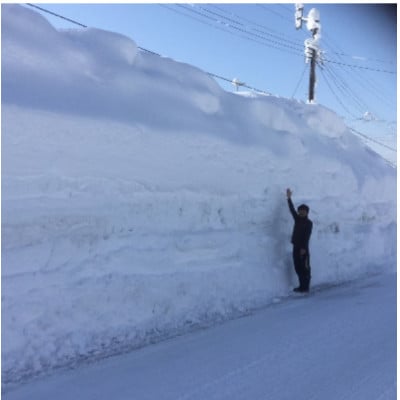 【毎月定期便】お米マイスター厳選(無洗米)魚沼産コシヒカリ100% 9kg(3kg×3)全3回