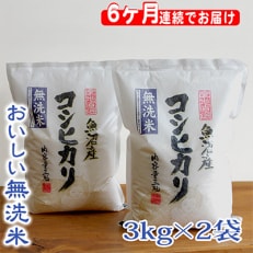2023年7月発送開始『定期便』無洗米お米マイスター厳選魚沼産コシヒカリ100%6kg全6回 | ふるさと納税のお礼品