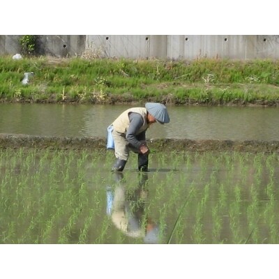 2023年11月発送開始『定期便』無洗米 お米マイスター厳選魚沼産コシヒカリ100%9kg全3回