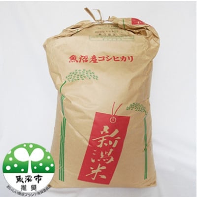 【令和8年産先行受付】真砂屋厳選　魚沼産コシヒカリ 玄米　30kg