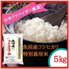 【令和4年産】『お米アドバイザー厳選!』魚沼産コシヒカリ　特別栽培米　精米5kg