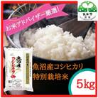 【令和6年産】『お米アドバイザー厳選!』魚沼産コシヒカリ　特別栽培米　精米5kg