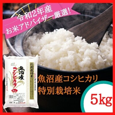【令和2年産】『お米アドバイザー厳選!』魚沼産コシヒカリ 特別栽培米 精米5kg