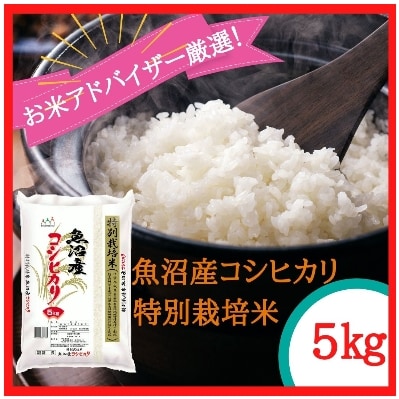 【令和5年産】『お米アドバイザー厳選!』魚沼産コシヒカリ 特別栽培米 精米5kg