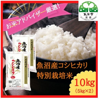 【令和6年産】『お米アドバイザー厳選!』魚沼産コシヒカリ　特別栽培米　精米10kg(5kg×2袋)