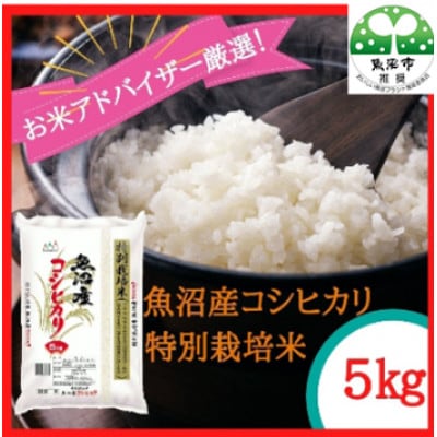 【令和8年産先行受付】『お米アドバイザー厳選!』魚沼産コシヒカリ　特別栽培米　精米5kg
