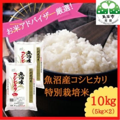 【令和8年産先行受付】お米アドバイザー厳選!魚沼産コシヒカリ 特別栽培米精米10kg(5kg×2袋)