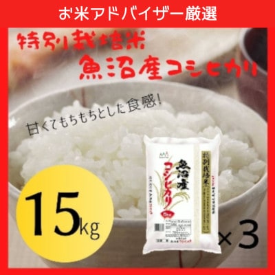【令和8年産先行受付】お米アドバイザー厳選!魚沼産コシヒカリ　特別栽培米　精米15kg