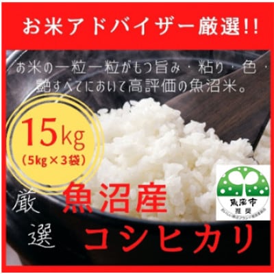 【令和8年産先行受付】『お米アドバイザー厳選!』魚沼産コシヒカリ　精米　15kg(5kg×3袋)