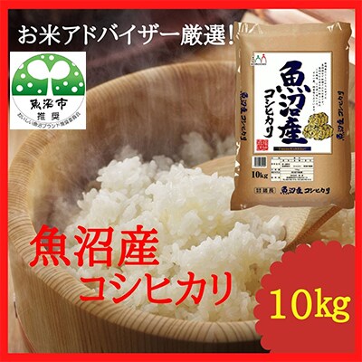 【毎月定期便】『お米アドバイザー厳選!』魚沼産コシヒカリ　精米10kg　全2回