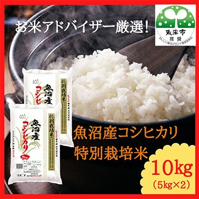 【毎月定期便】お米アドバイザー厳選!魚沼産コシヒカリ特別栽培米　精米計10kg(5kg×2)全3回
