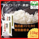 【毎月定期便】お米アドバイザー厳選!魚沼産コシヒカリ特別栽培米 精米計10kg(5kg×2)全2回