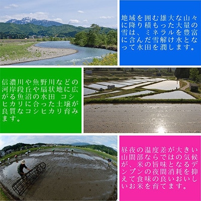 【毎月定期便】お米アドバイザー厳選!魚沼産米こだわり食べ比べセット 精米6kg(2kg×3種)全5回