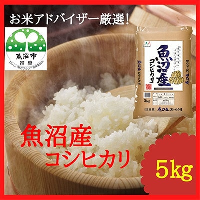 【毎月定期便】『お米アドバイザー厳選!』魚沼産コシヒカリ 精米5kg全6回