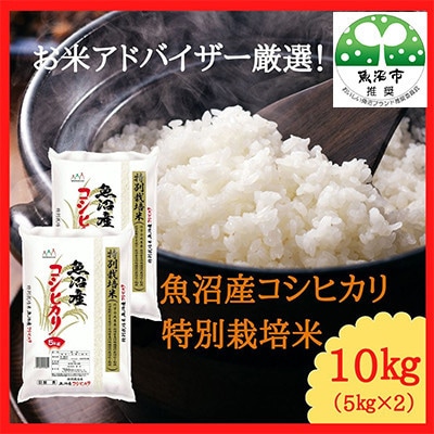 【毎月定期便】お米アドバイザー厳選!魚沼産コシヒカリ特別栽培米 精米計10kg(5kg×2)全6回