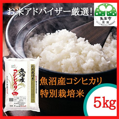 【毎月定期便】お米アドバイザー厳選!魚沼産コシヒカリ特別栽培米 精米計5kg全4回