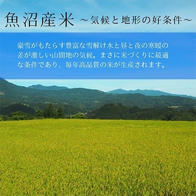 【毎月定期便】お米アドバイザー厳選!魚沼産コシヒカリ特別栽培米 精米計5kg全6回