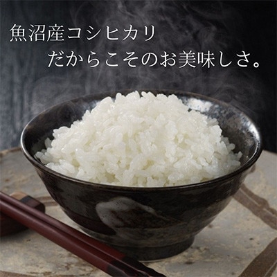 【毎月定期便】お米アドバイザー厳選!魚沼産コシヒカリ特別栽培米 精米計5kg全6回
