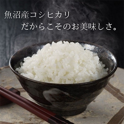 【毎月定期便】お米アドバイザー厳選!魚沼産コシヒカリ特別栽培米 精米計10kg(5kg×2)全2回