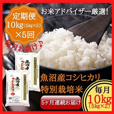 2021年10月発送開始『定期便』魚沼産コシヒカリ特別栽培米　精米10kg　全5回