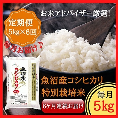 2022年1月発送開始『定期便』魚沼産コシヒカリ特別栽培米　精米5kg　全6回