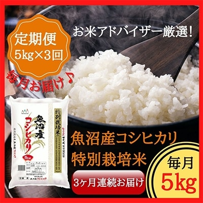 2022年2月発送開始『定期便』魚沼産コシヒカリ特別栽培米　精米5kg　全3回