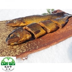清流の川魚セット12尾入 ヤマメ イワナ ニジマス アユ お礼品詳細 ふるさと納税なら さとふる