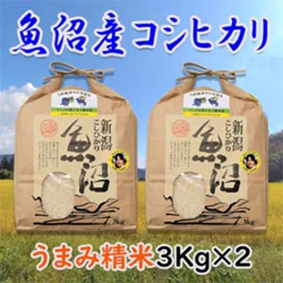 「令和6年産　新米先行受付」ツバメの飛び交う棚田米　精米6kg(3kg×2袋)