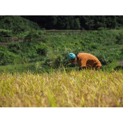 令和7年産【無洗米】「米食味鑑定士　厳選」魚沼産コシヒカリ　3kg