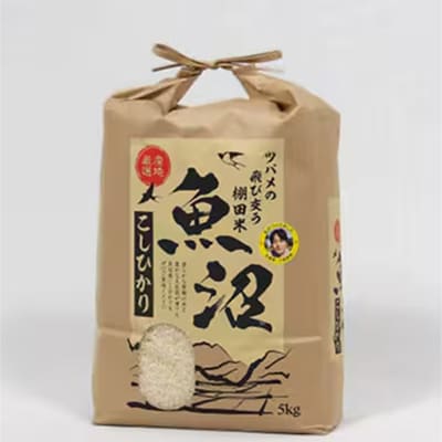 【毎月定期便】ツバメの飛び交う棚田米　精米5kg全6回