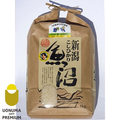 【毎月定期便】ツバメの飛び交う棚田米 精米5kg全12回