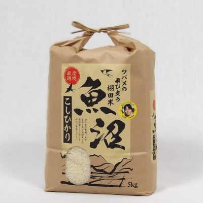 【毎月定期便】ツバメの飛び交う棚田米 精米5kg全6回