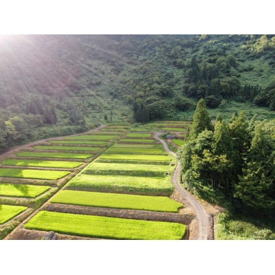 【毎月定期便】ツバメの飛び交う棚田米 精米5kg全3回