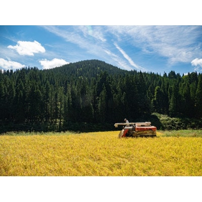 【毎月定期便】【無洗米】「米食味鑑定士　厳選」魚沼産コシヒカリ5kg全6回