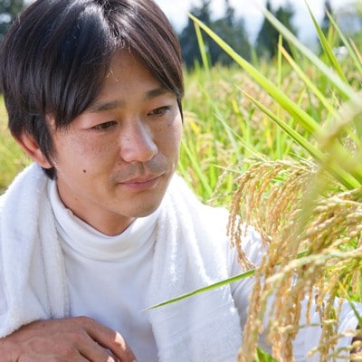 【毎月定期便】ツバメの飛び交う棚田米 精米2kg全3回