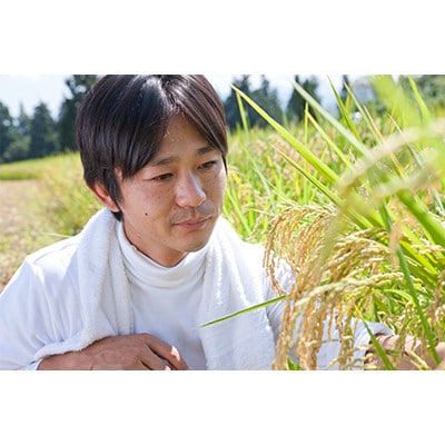 【毎月定期便】ツバメの飛び交う棚田米 精米5kg全3回