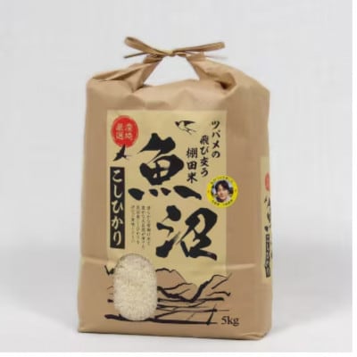 【毎月定期便】ツバメの飛び交う棚田米 精米5kg全6回