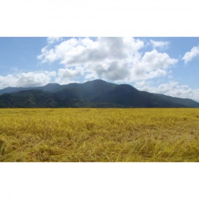 【毎月定期便】【無洗米】「米食味鑑定士　厳選」魚沼産コシヒカリ　3kg全6回