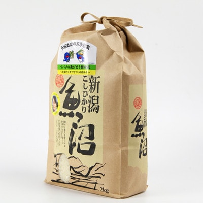 【毎月定期便】ツバメの飛び交う棚田米 精米2kg全3回