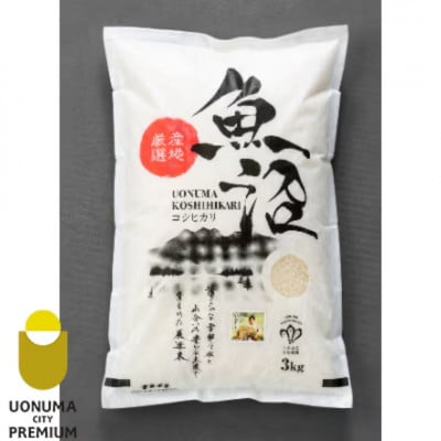 【毎月定期便】【無洗米】「米食味鑑定士　厳選」魚沼産コシヒカリ　3kg全12回