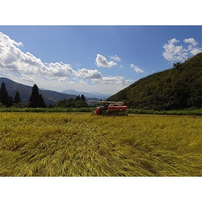 2022年8月発送開始『定期便』魚沼の山で育った有機米　精米5kg　全12回